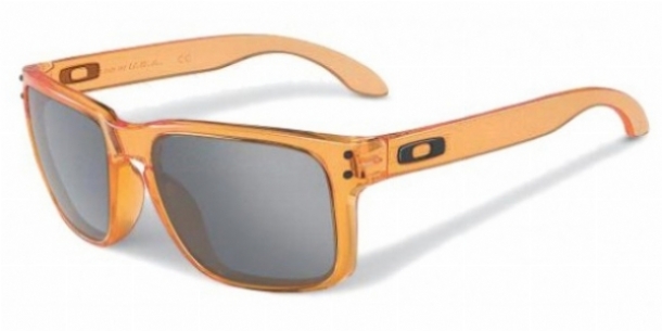 OAKLEY HOLBROOK 910231