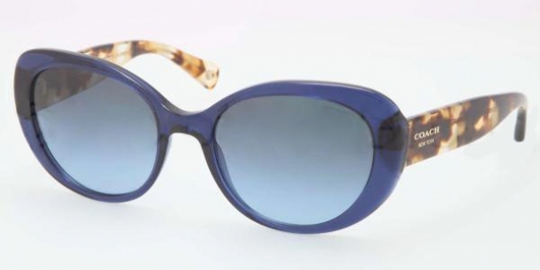 Coach alexa sunglasses online